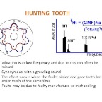 Gear - Hunting Tooth