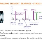 Roller Bearing - Stage 3